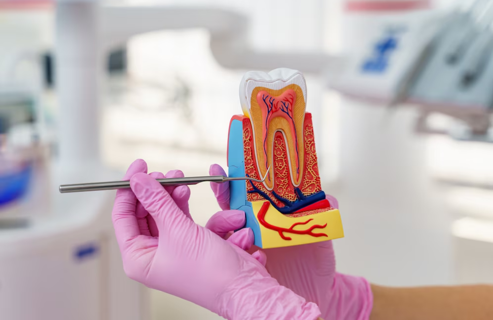 root canal be necessary for damaged teeth